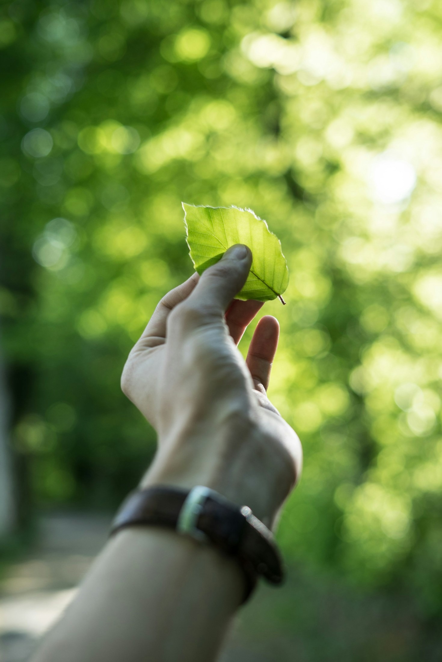 How Youth Are Leading the Way in Sustainable Development