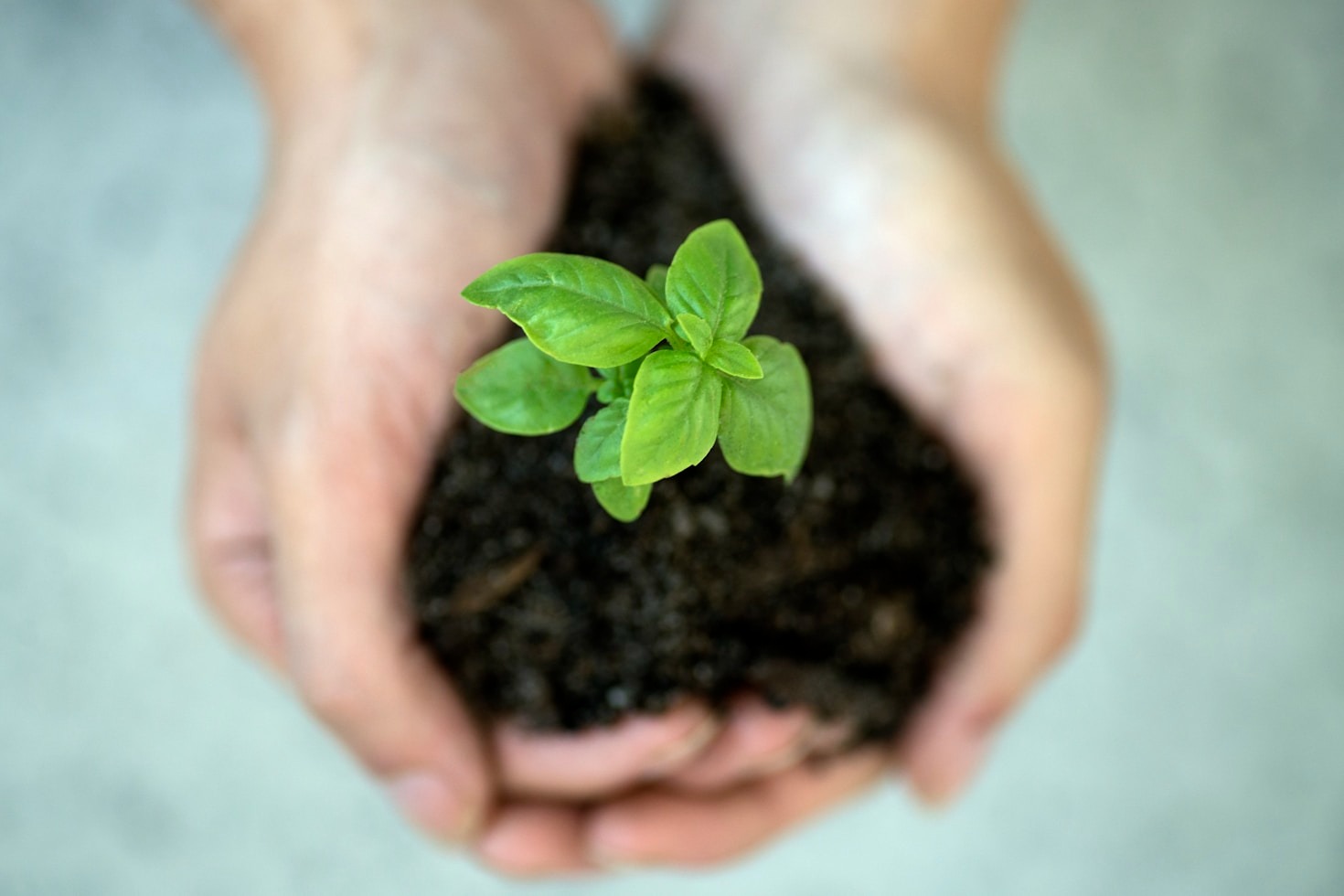 Driving Change: Stories of Successful Social Programs