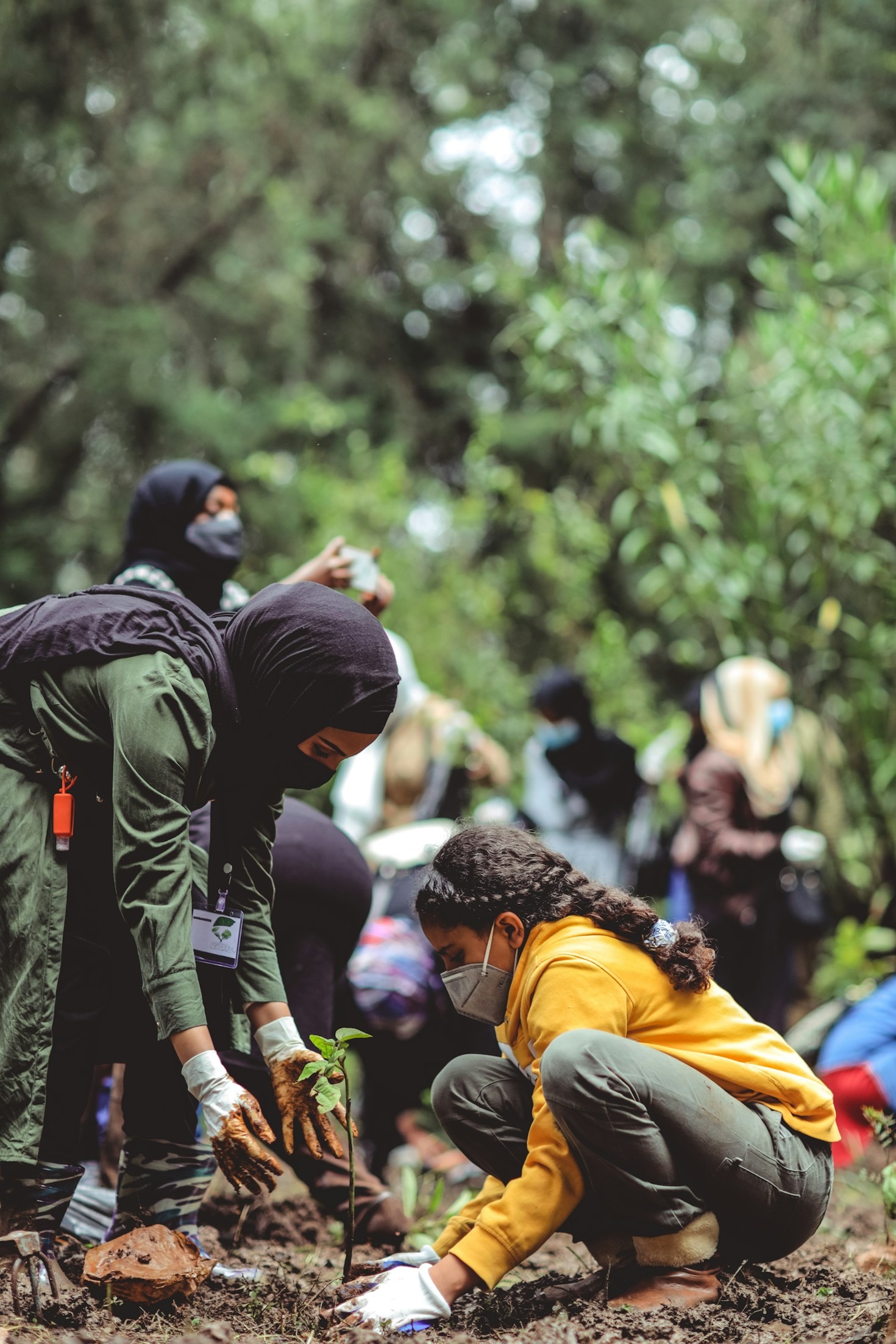 Fostering Innovation in Community Health Solutions